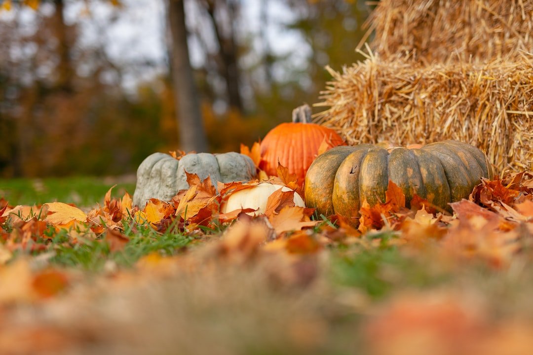 Fall Decorating with Pumpkins: Bring the Cozy and Spooky Vibes Home! - patchandbagel