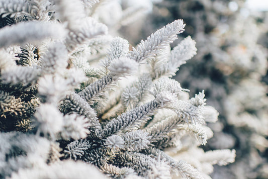 Deck the Halls with Unique Christmas Garlands