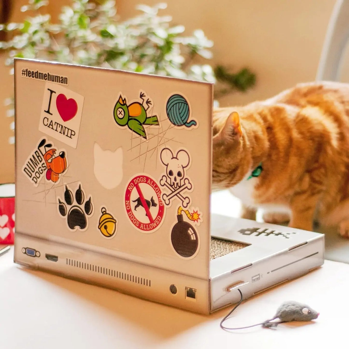 Cat Scratch Board Notebook - patchandbagel