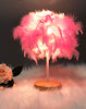 Fluffy Feathers Bedside Lamp