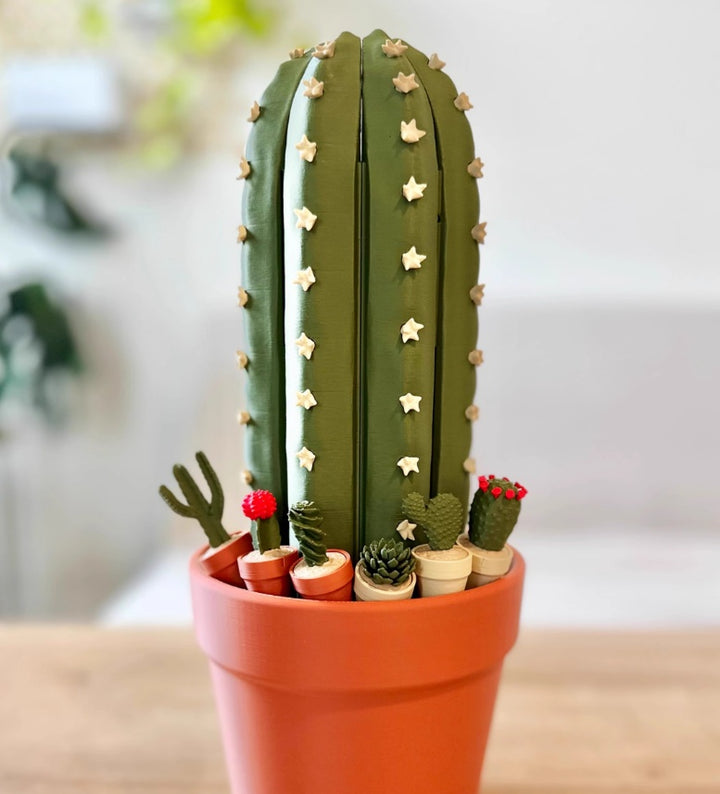  3D Printed Cactus Chess Set 