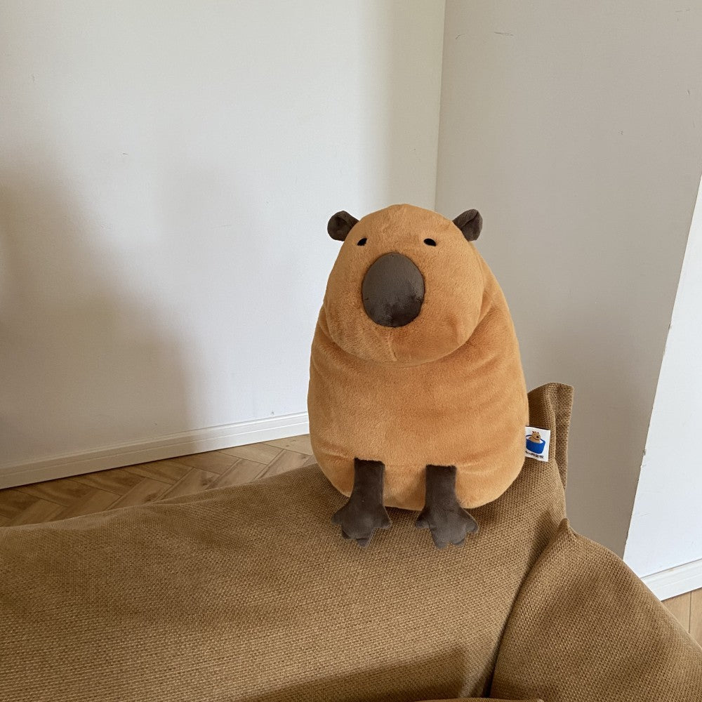  Silly Staring Capybara Plush Toy 