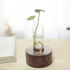 Desktop Hydroponic Decoration Minimalist Creative Test Tube Flower Stand