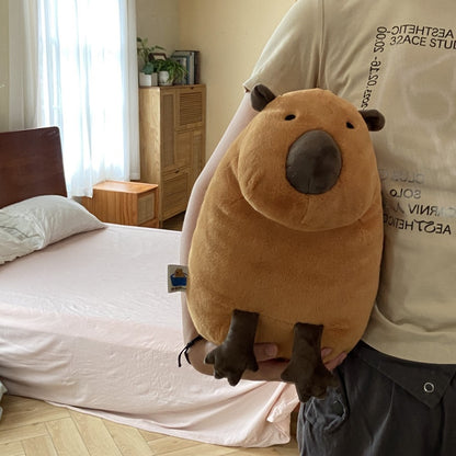  Silly Staring Capybara Plush Toy 