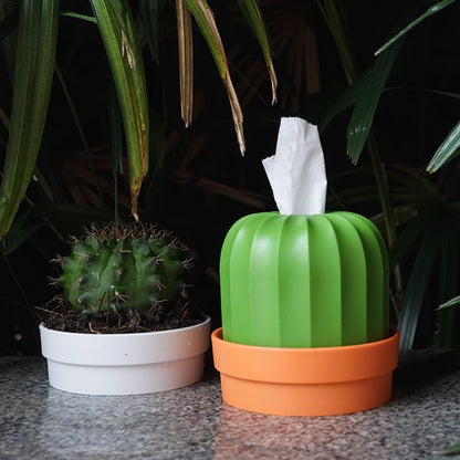  Cactus Tissue Box 