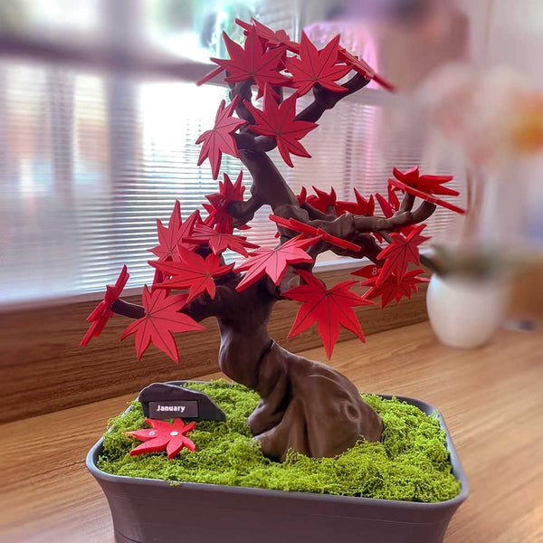  Red Maple Bonsai Calendar Tree 