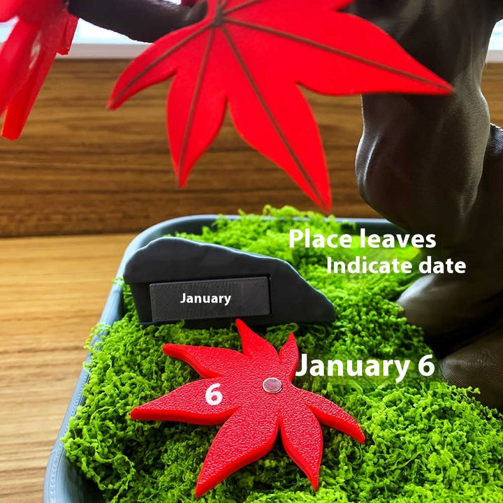  Red Maple Bonsai Calendar Tree 