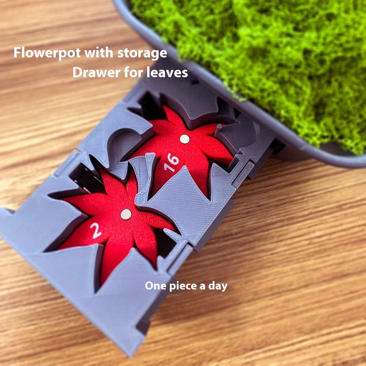  Red Maple Bonsai Calendar Tree 