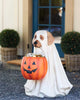  Puppy Pumpkin Candy Bowl & Cat Halloween Ornament 