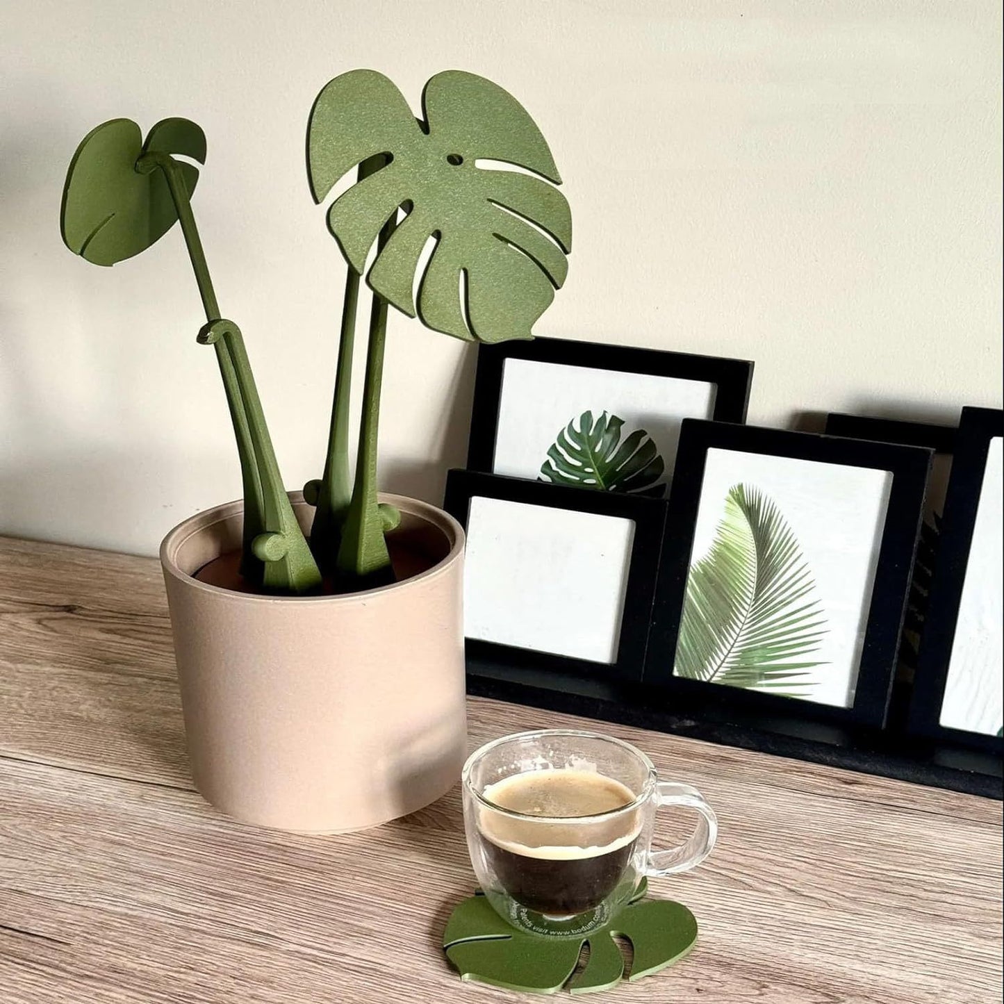  Monstera Deliciosa Coaster Set 