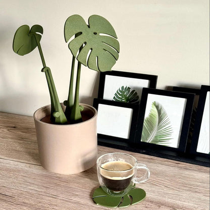  Monstera Deliciosa Coaster Set 