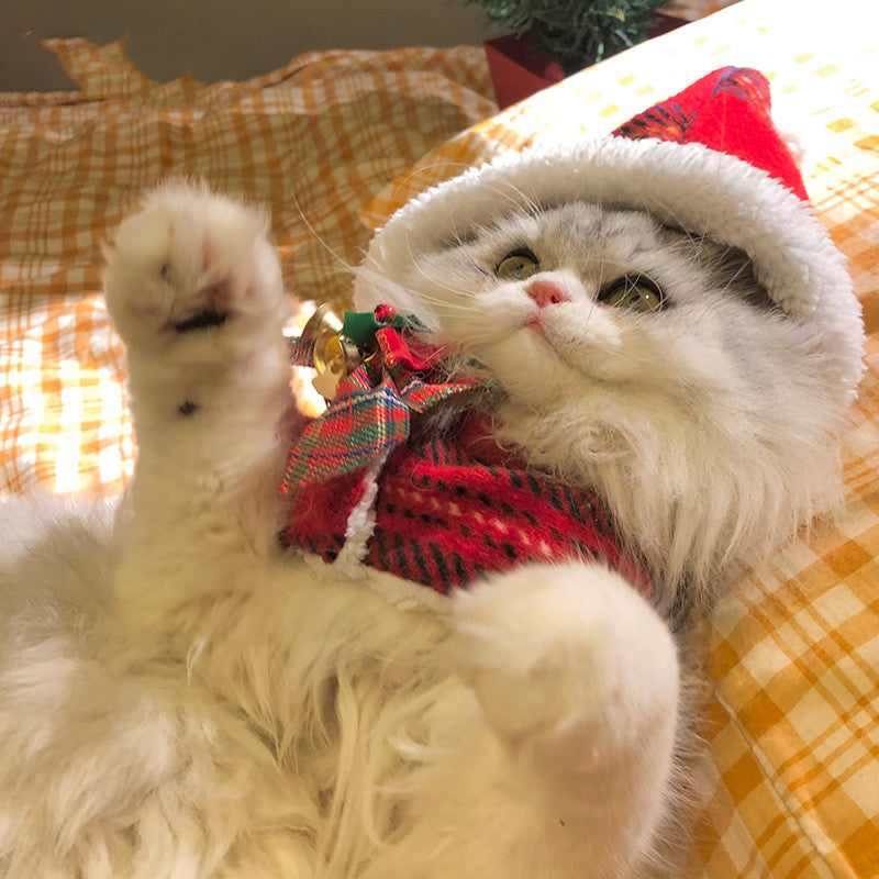 Festive Christmas Bow For Cat - patchandbagel