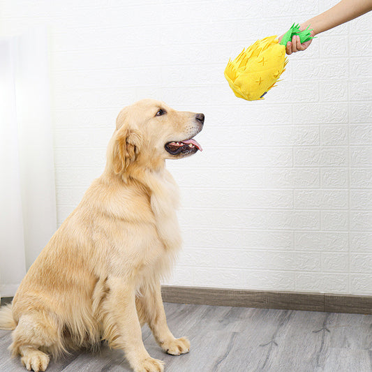  Pineapple Sniffing Dog Toy 