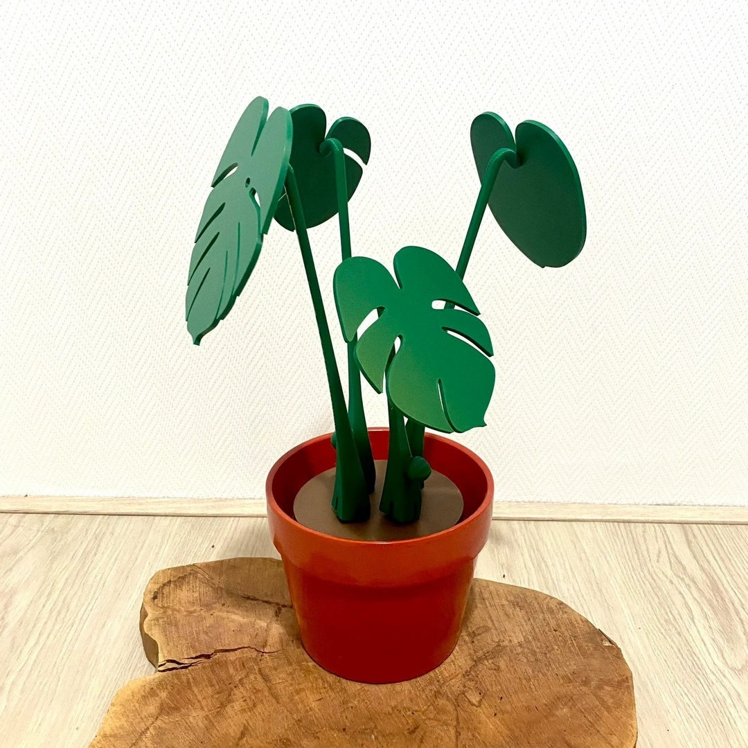  Monstera Deliciosa Coaster Set 