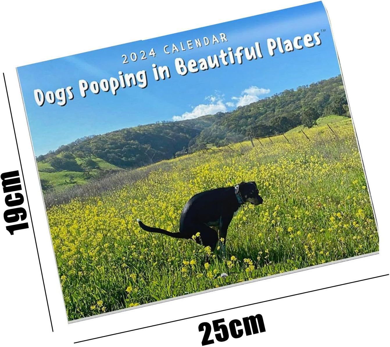 Funny Dog Poop 2024 Calendar - patchandbagel