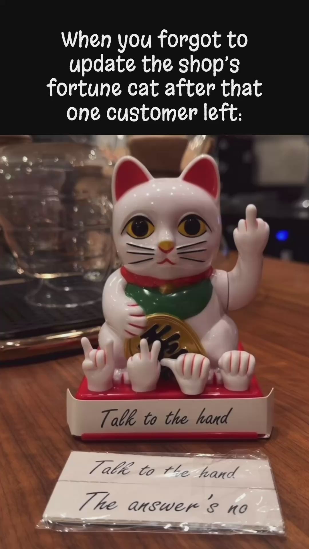 Rude Fortune Cat Figurine – Funny Gift & Decor