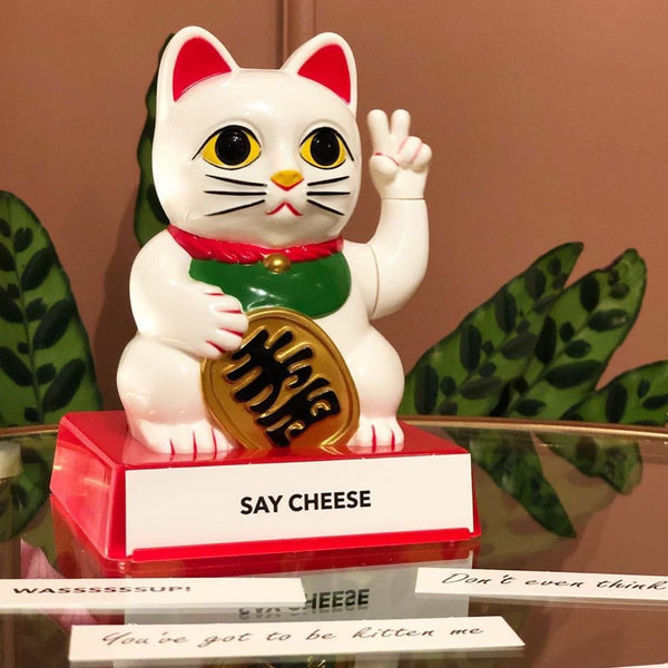  Rude Fortune Cat Display Stand 