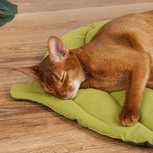  Double Sided Leaf Pet Cushion Bed 